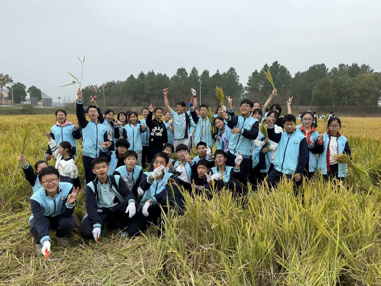 740262b77aa68e11bb0202ec9ed6bc46.jpg 740262b77aa68e11bb0202ec9ed6bc46.jpg