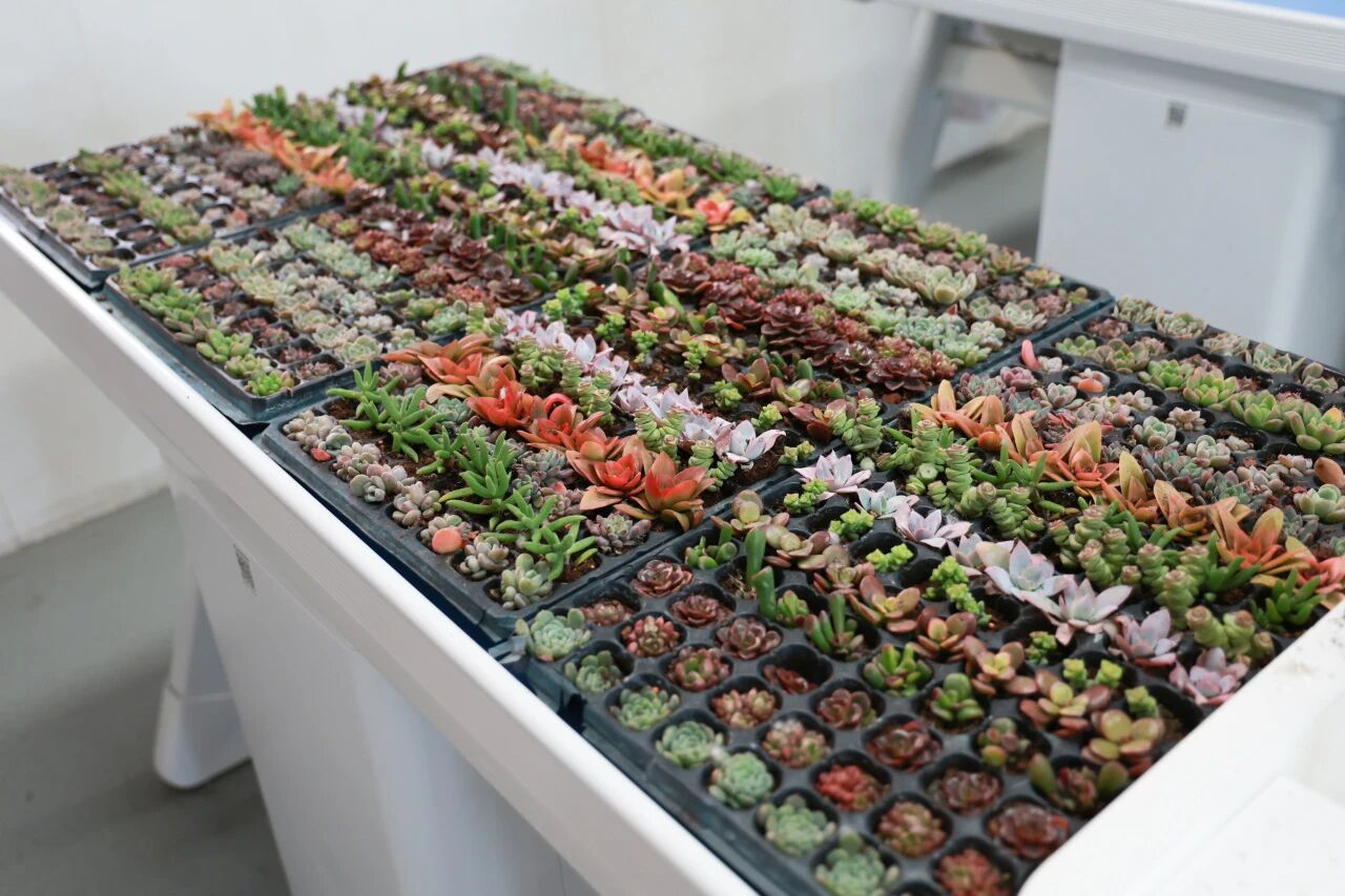 2629d3895f81f70d4fead7a9a5f71b7d.jpg 2629d3895f81f70d4fead7a9a5f71b7d.jpg