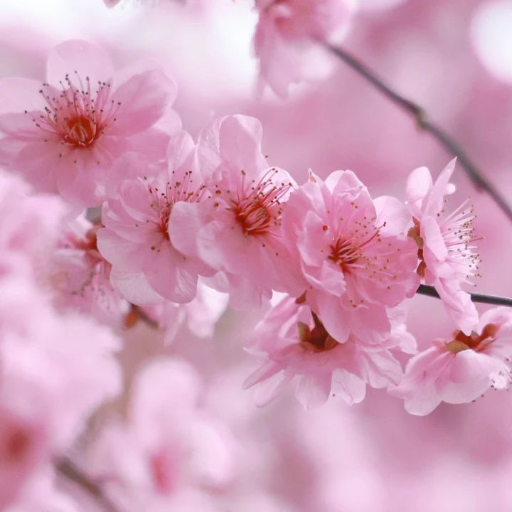 128978adfcef4cf7081f53f383ae265f.jpg